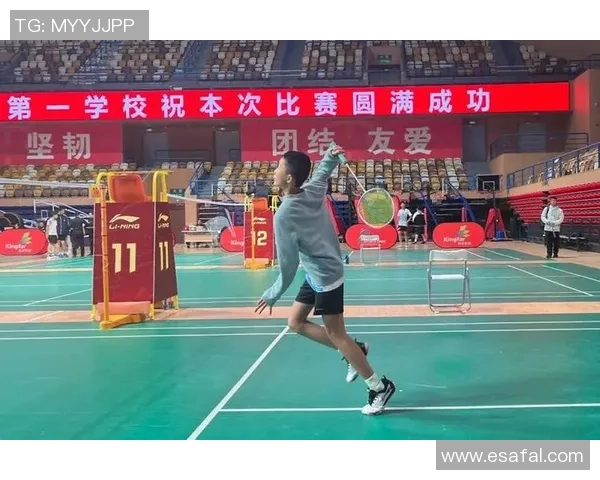 羽毛球意识排行榜揭晓重庆羽毛球队荣登第十名展现实力与潜力