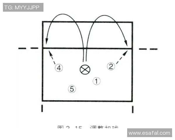南京排球队防守战术深度分析与实战应用探讨